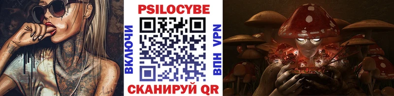 Псилоцибиновые грибы мухоморы  Кингисепп 