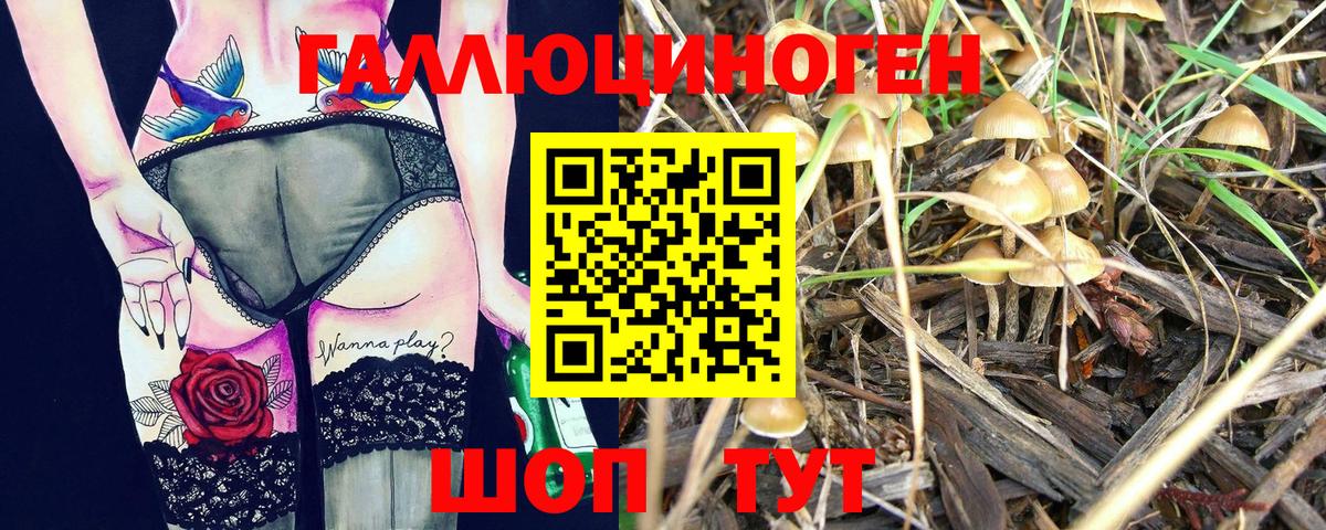 Кингисепп  сколько стоит  Вход с VPN  Галлюциногенные грибы Cubensis  Псилоцибиновые грибы GOLDEN TEACHER 