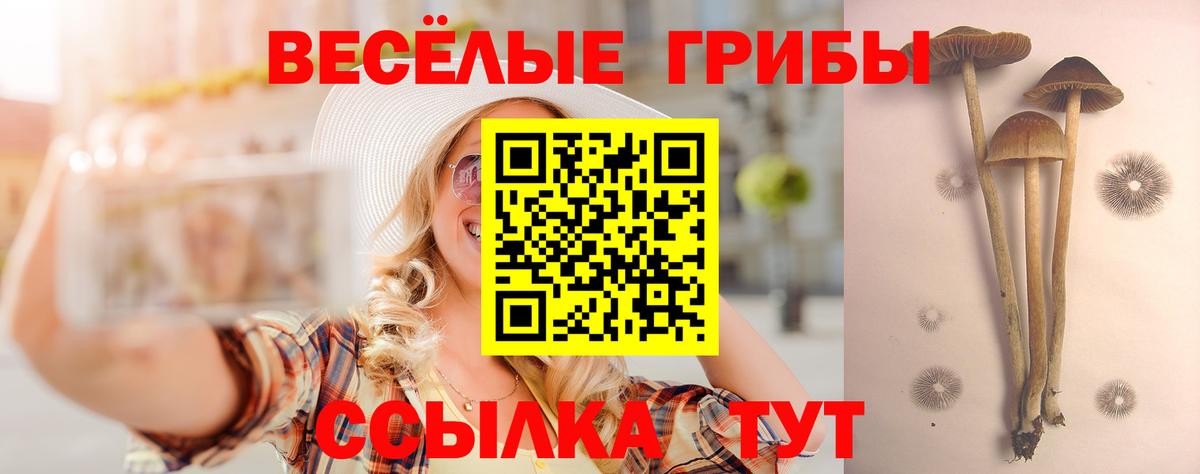 Гарик  Кингисепп  COCAIN  Мефедрон  Вход с VPN 