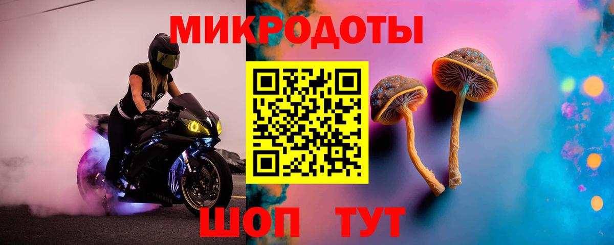Псилоцибиновые грибы Magic Shrooms Кингисепп